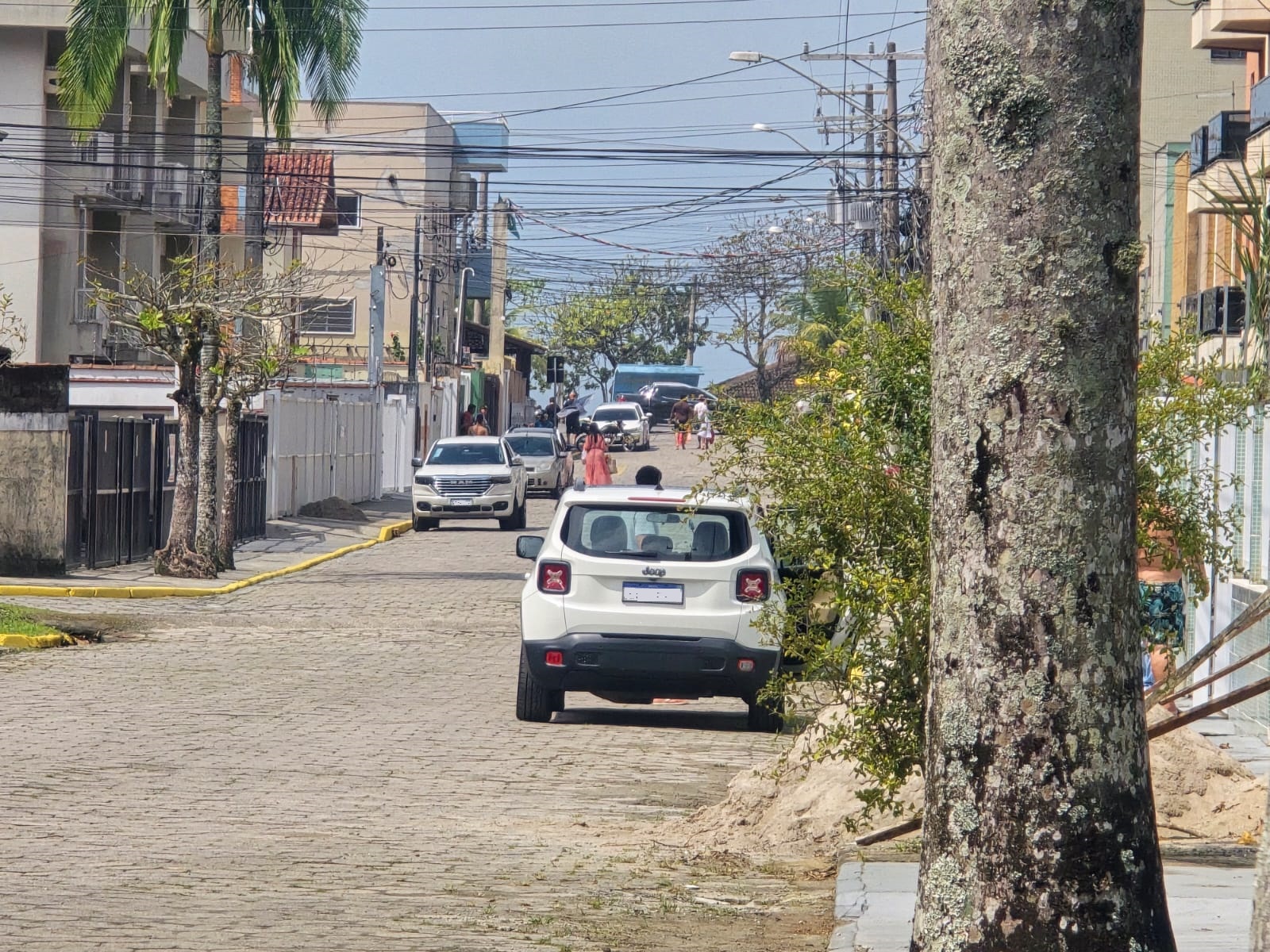 Imagem 2